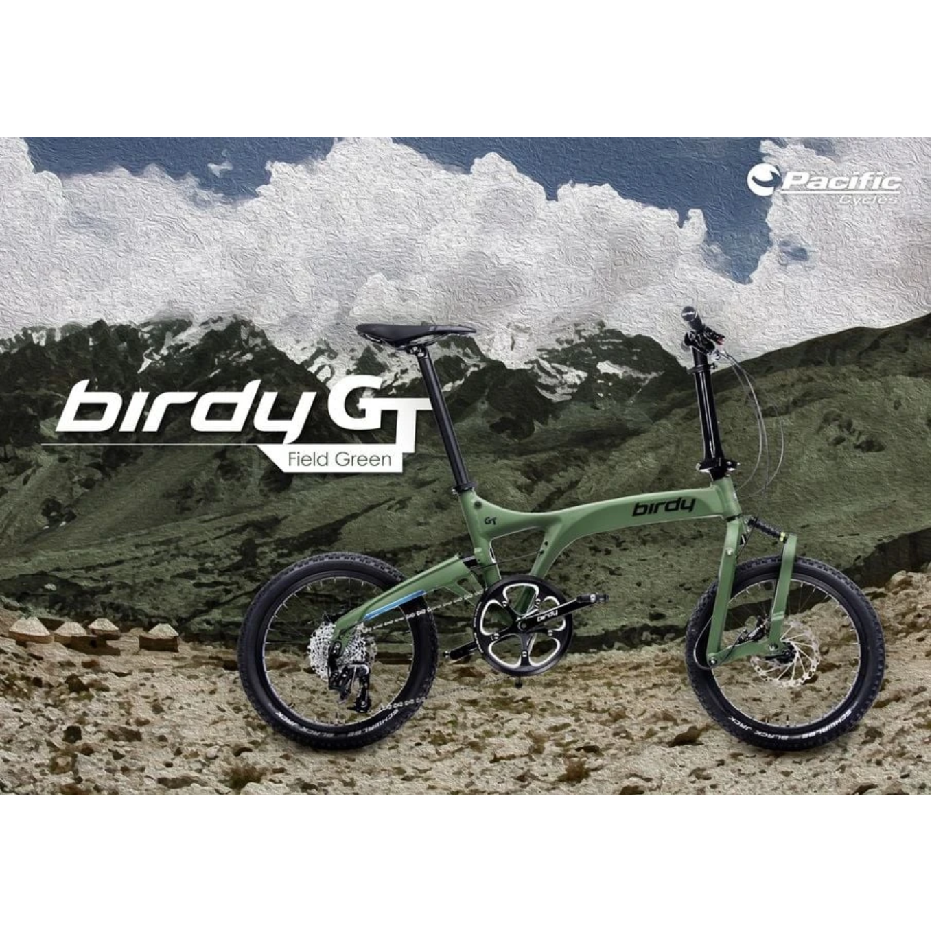 Birdy GT 10-Speed