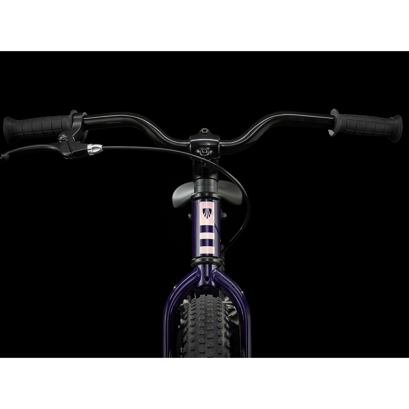 Trek Precaliber 20 Girl's Single Speed Purple Abyss – The Bicycle